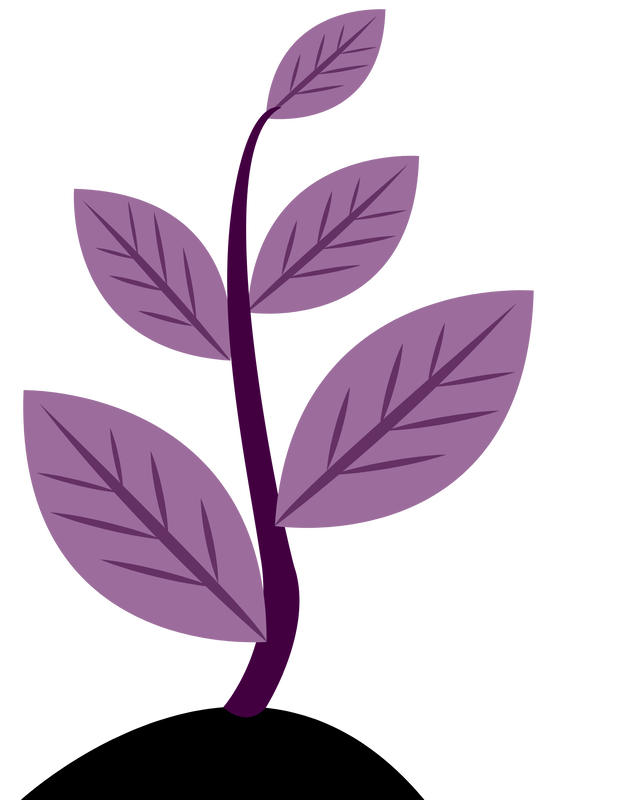 Small Purple Plant Seedling 