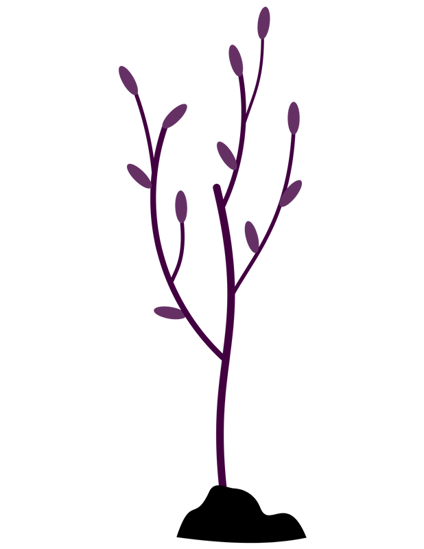 Purple Tree Sapling